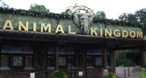 Entrance to Disney’s Animal Kingdom Theme Park decorated for Christmas.