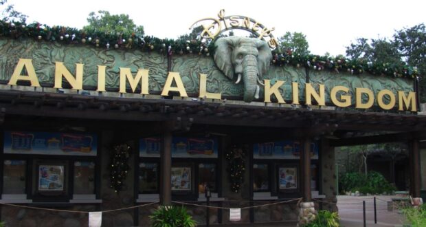 Entrance to Disney’s Animal Kingdom Theme Park decorated for Christmas.