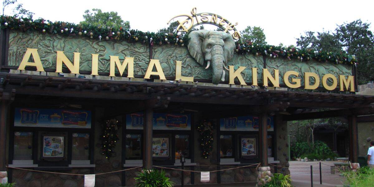 Entrance to Disney’s Animal Kingdom Theme Park decorated for Christmas.