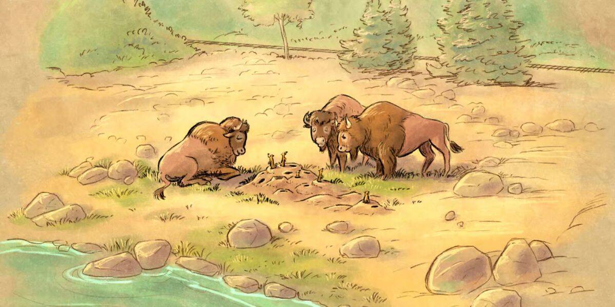 Bison gather near a prairie dog mound and stream in a scenic Wild West zone, surrounded by themed rocks and lush trees.