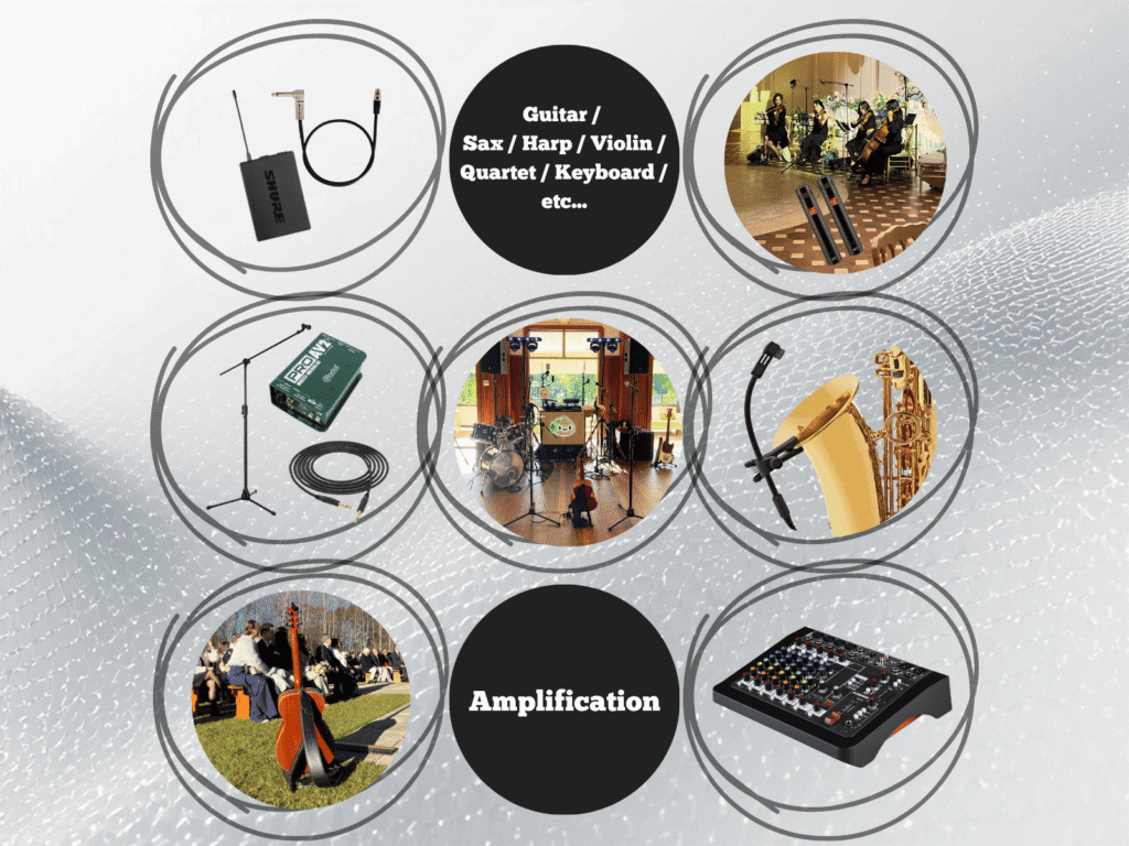 High-energy live music performance with dynamic sound system.