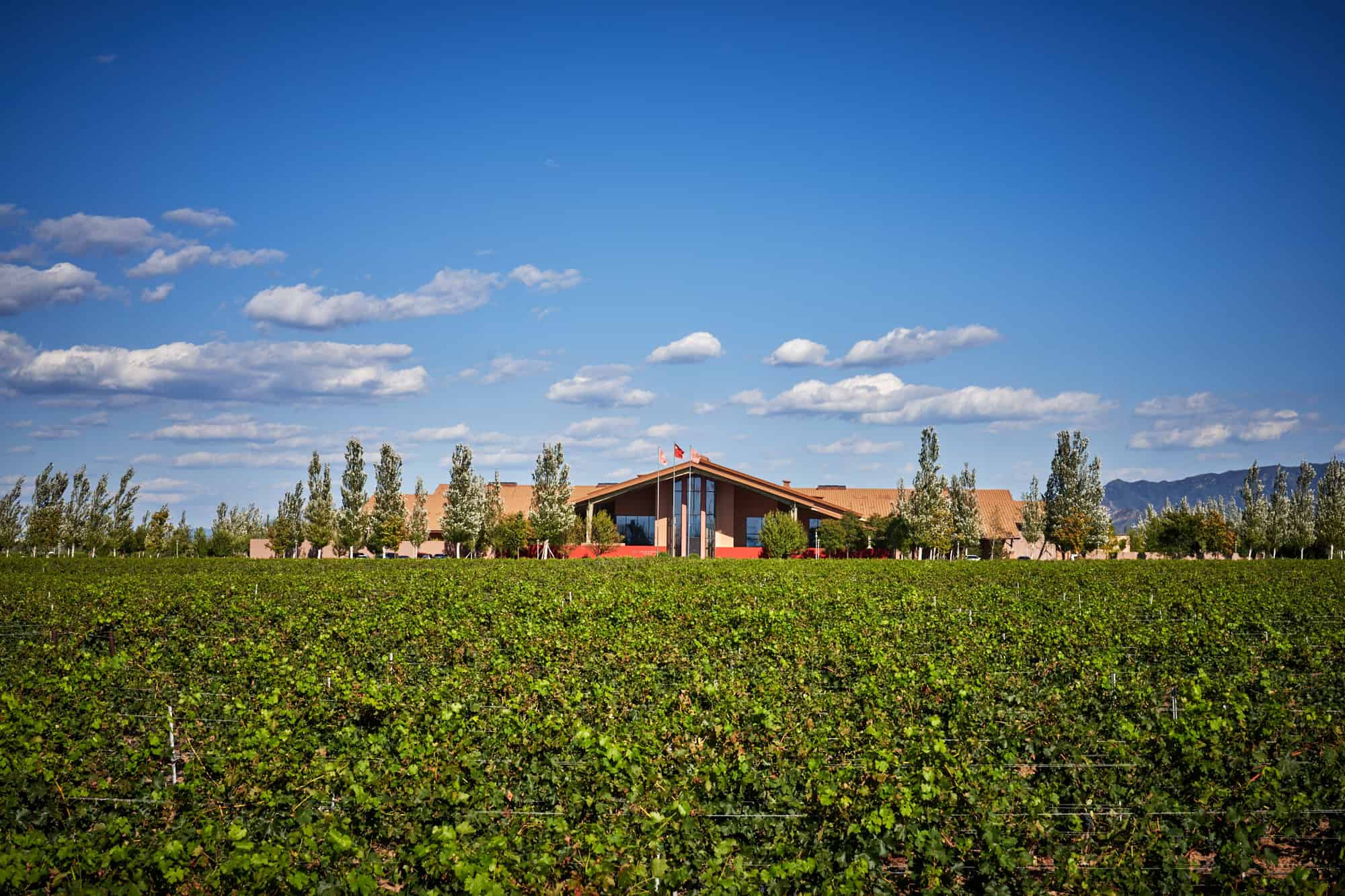 Canaan Winery China Wine Club