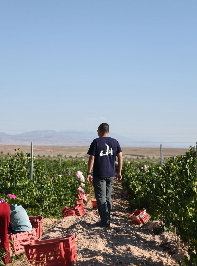 Petit Mont Chinese winemaker Ma Jie China Wine Club