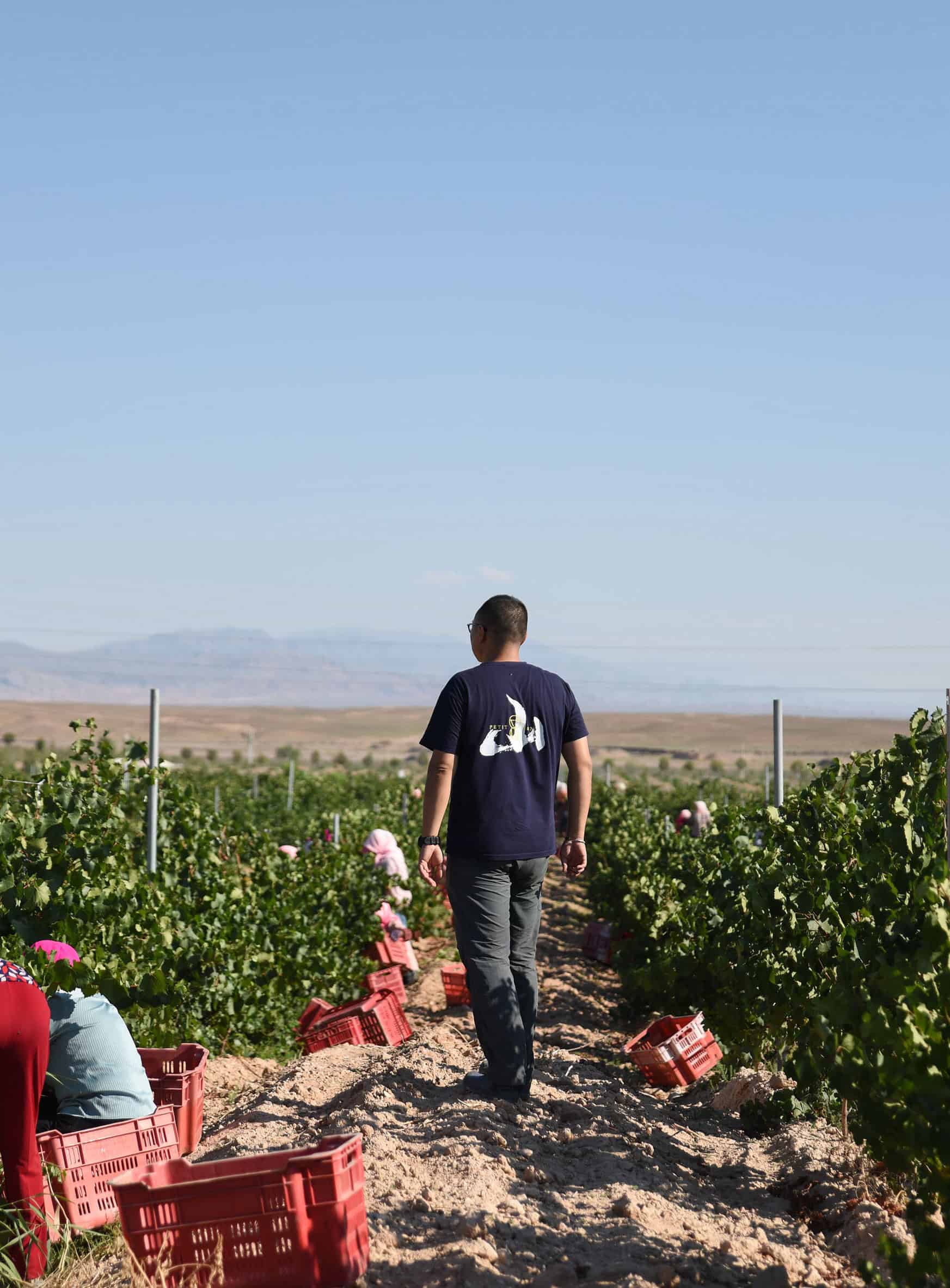 Petit Mont Chinese winemaker Ma Jie China Wine Club