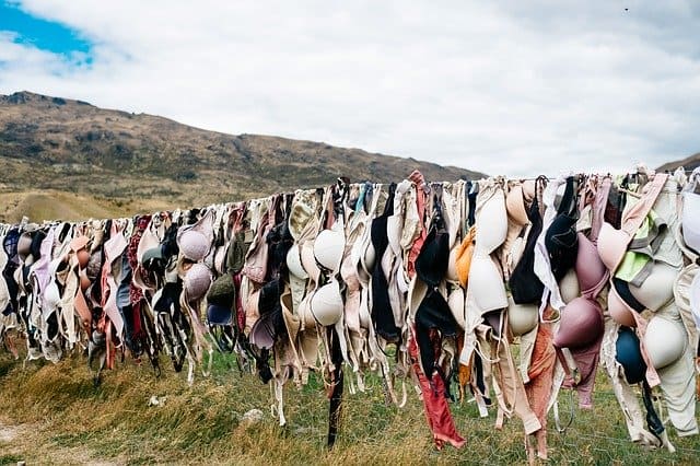 bras on a clothes line