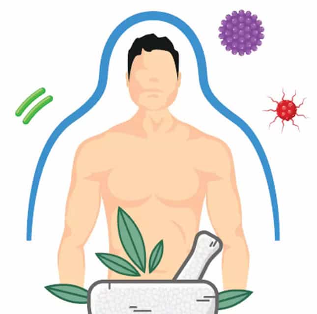 Herbal medicine for immune support, Ayurvedic treatment for virus protection, sanjivani ayurved shala herbal remedies for immunity.