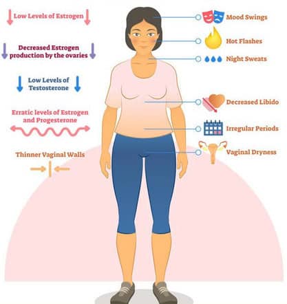 Low estrogen levels and menstrual issues in women, including mood swings and irregular periods, explained visually.