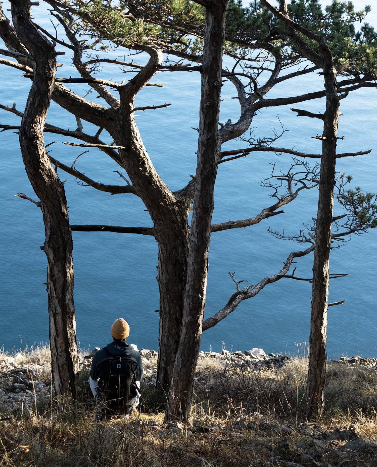 18L backpack with a view
