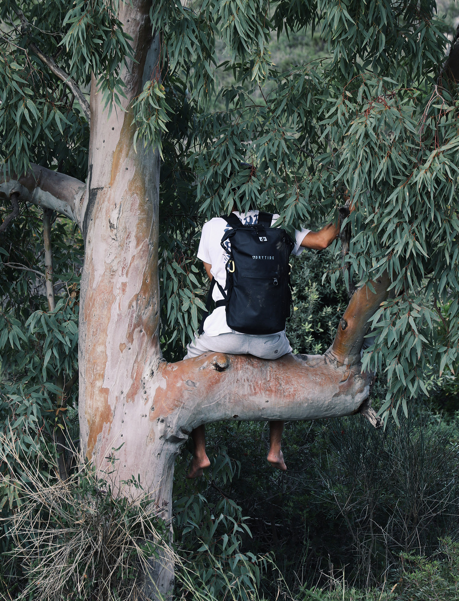 Waterproof backpack hanging on a tree branch in a lush forest setting.