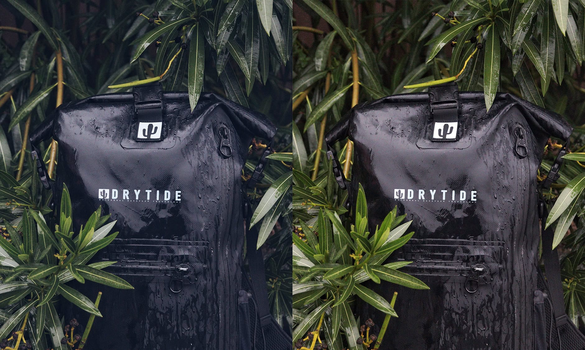 sustainability sustainability