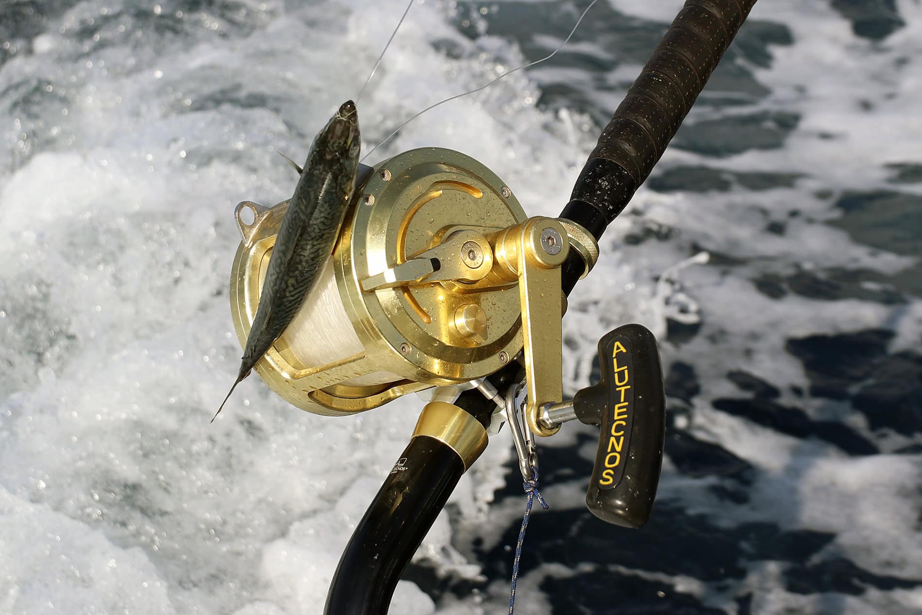 Tuna fishing rod with mackerel bait