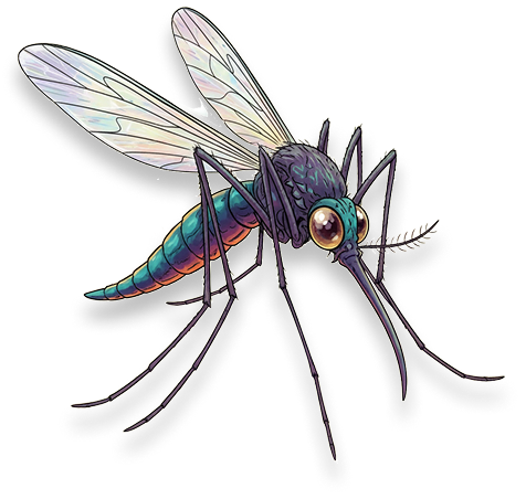 mosquito