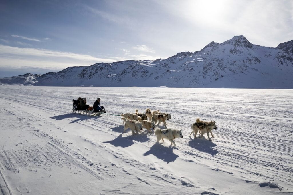 Dogsledding in the Tasiilaq's backyard.