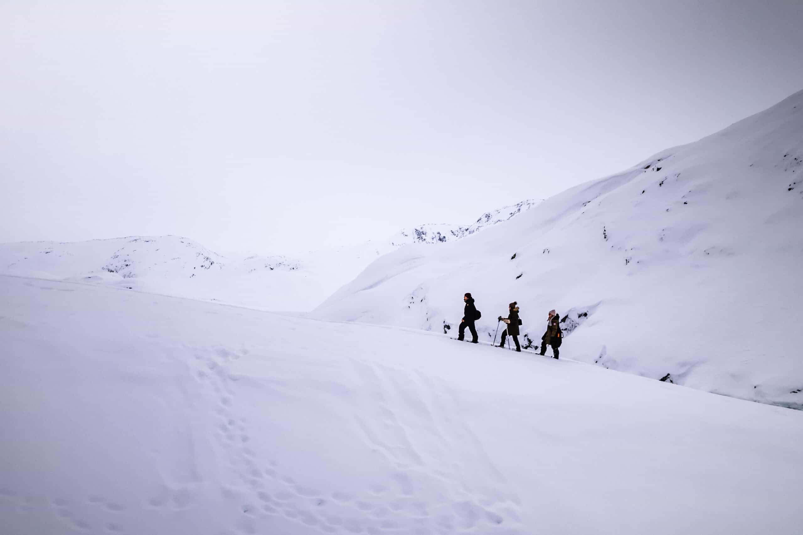 Snow shoe group near the Icacamp.