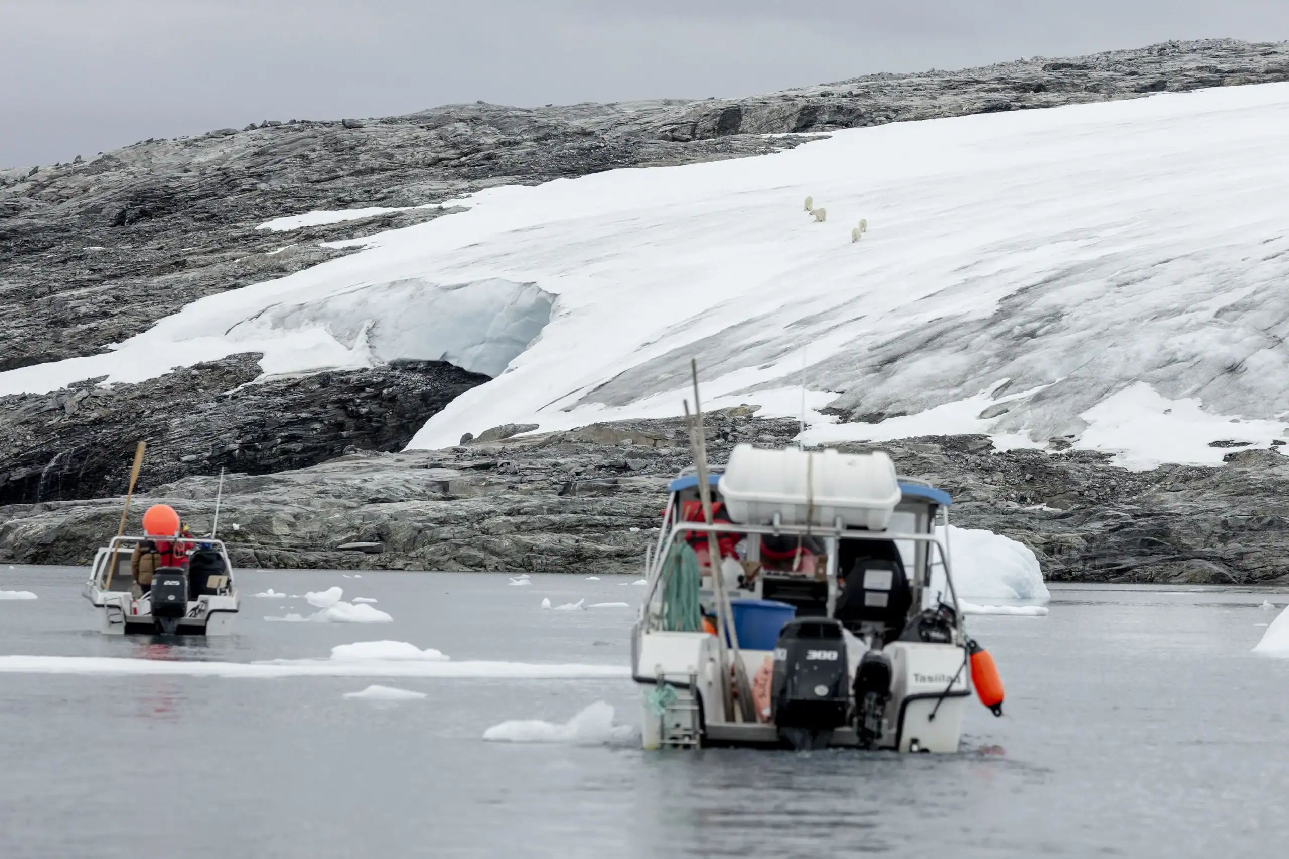 Boats near a glacier in East Greenland with polar bears in the distance.