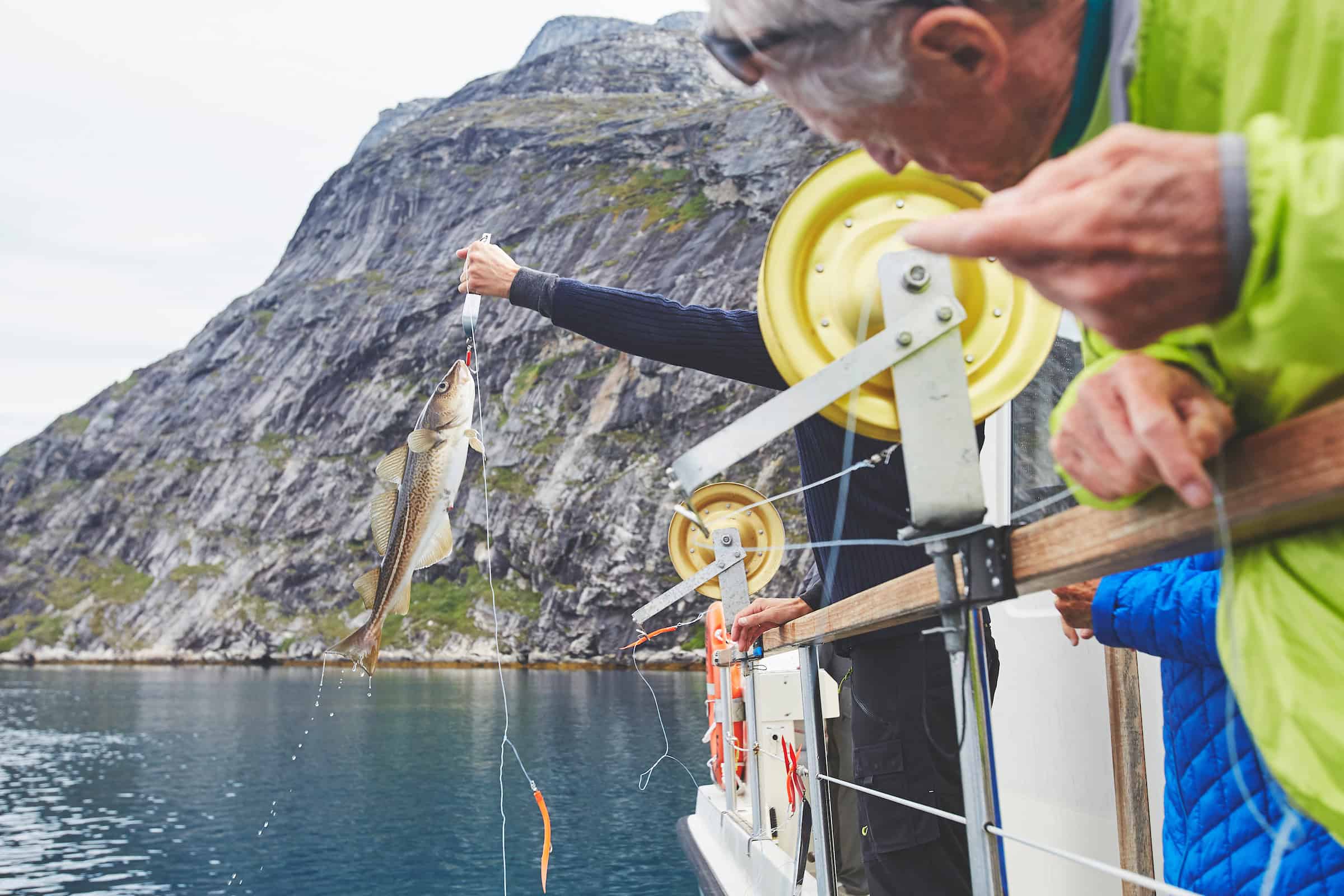A sailor catching a cod on the Arctic Boat Charter in the Nuuk Fjord.