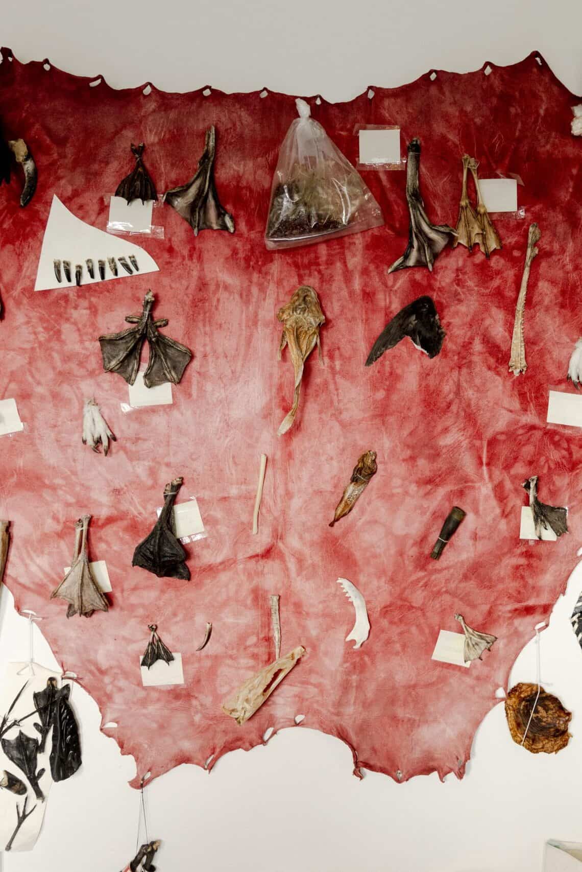 Close up of treasured tools and knifes from the Ammassalik area on display at Kulusuk museum.