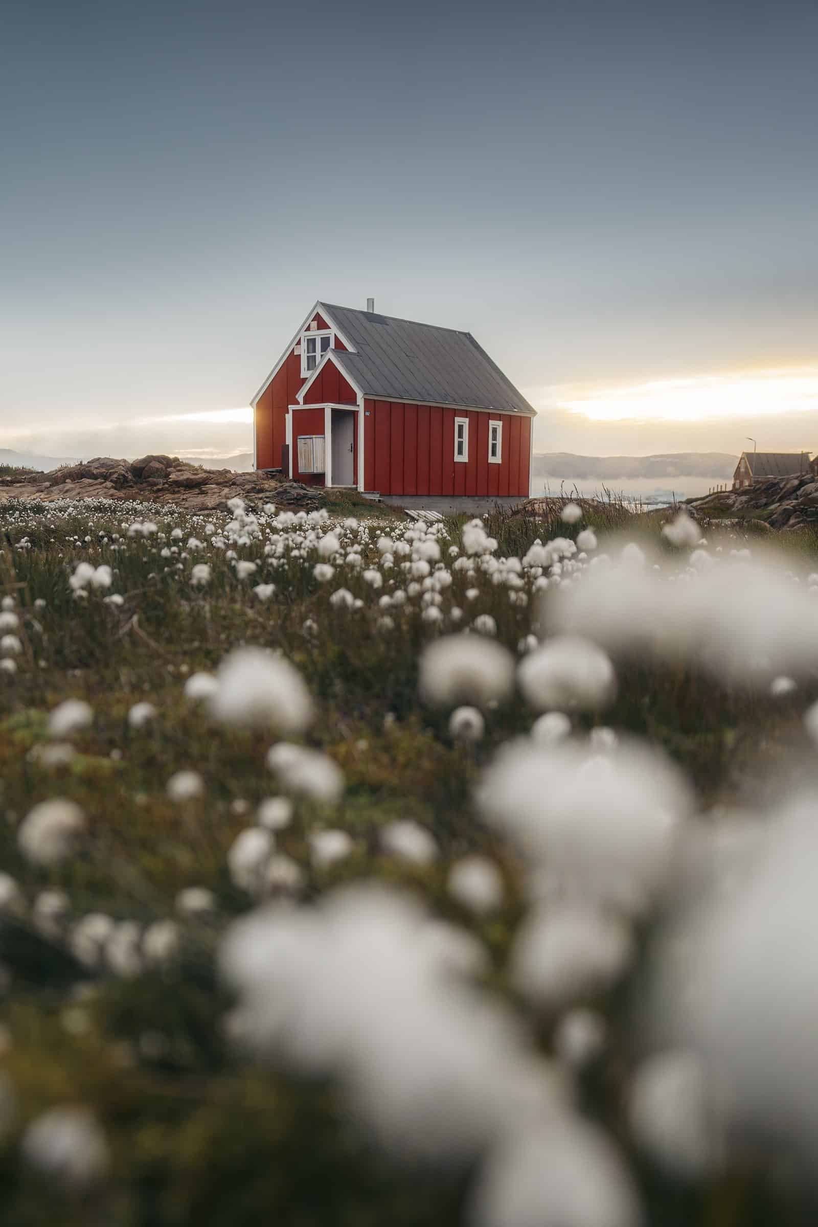 Evenin at Tiilerilaaq.