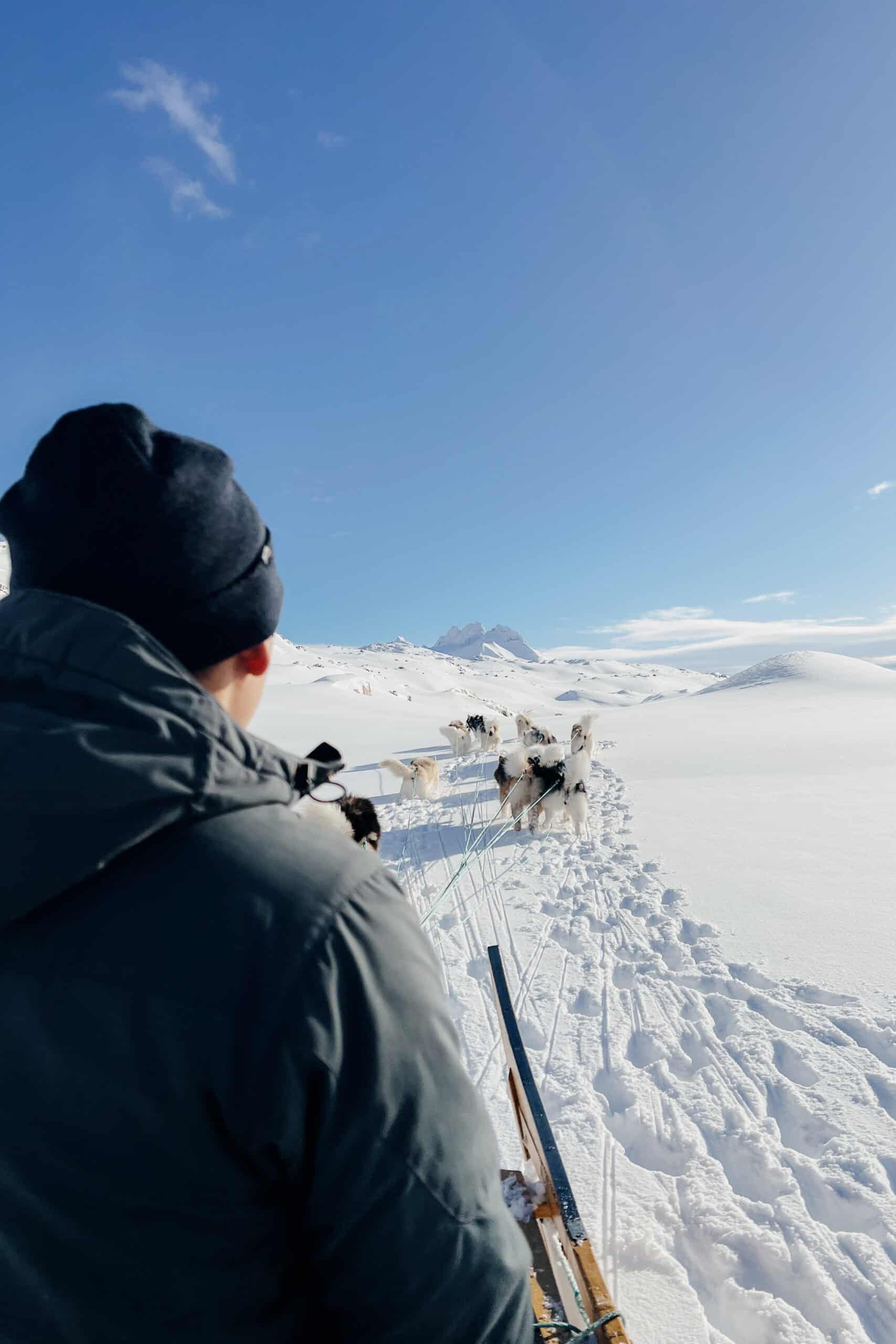 Dog sledding on the track to kaffebaren on Ammassalik Island.