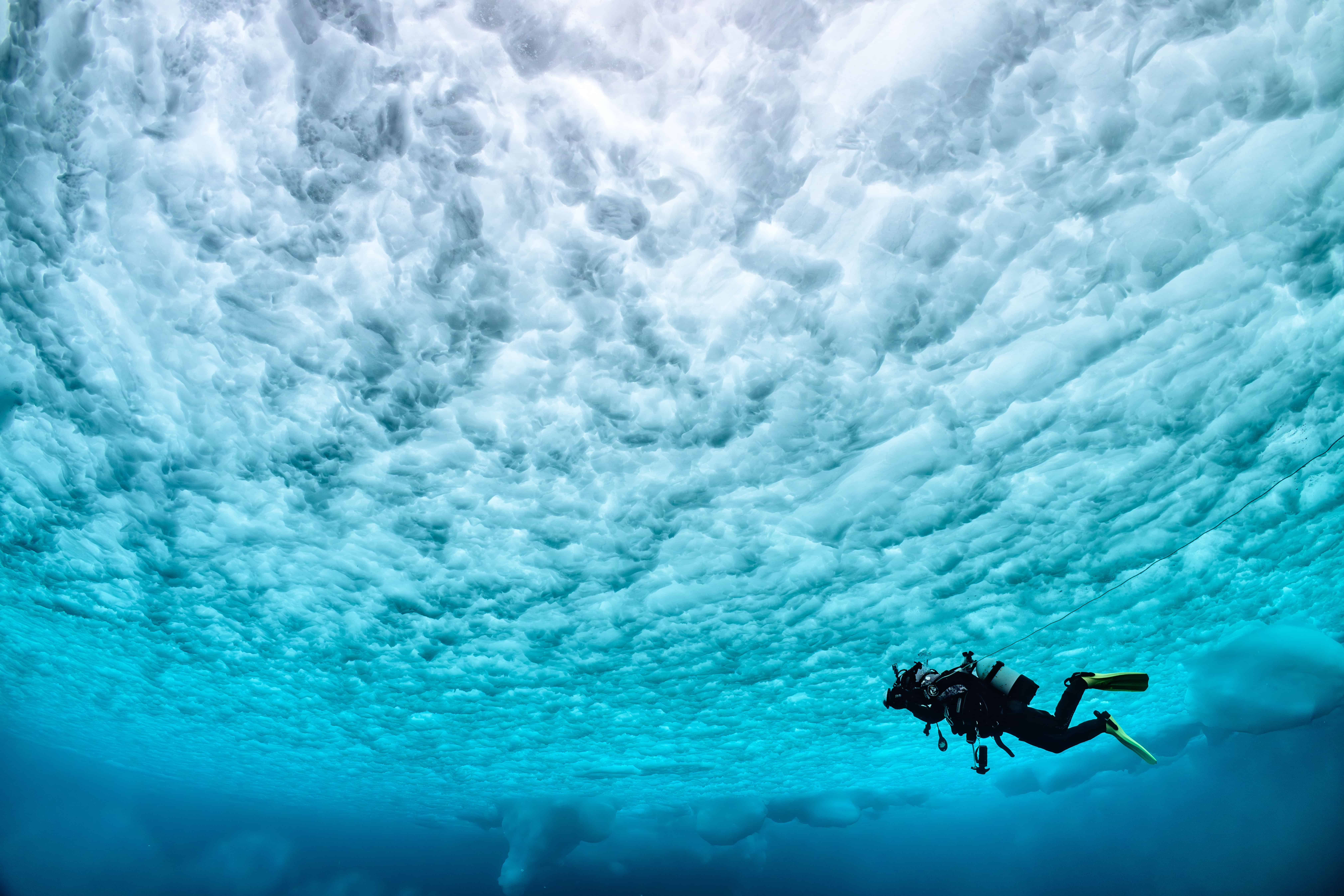 A diver swimming under the ice-filled surface.