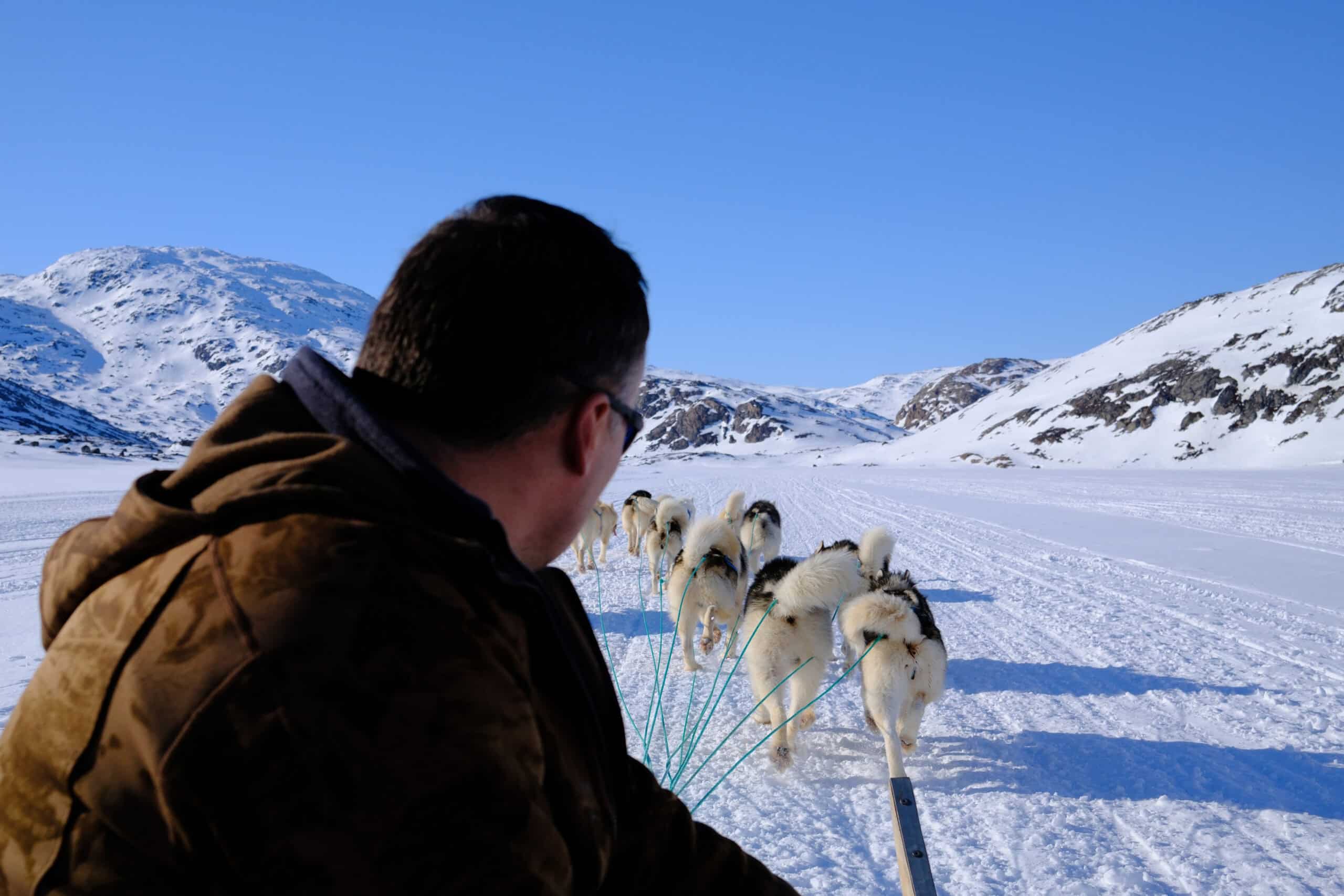 The musher at the front of the dog sled enjoying the ride on a sunny day on Ammassalik Island.