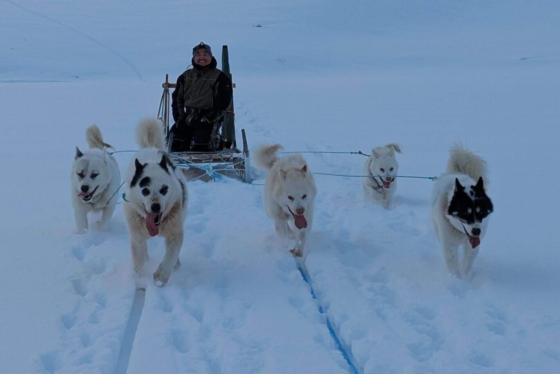 Dog sledding through fresh power snow around Kulusuk.