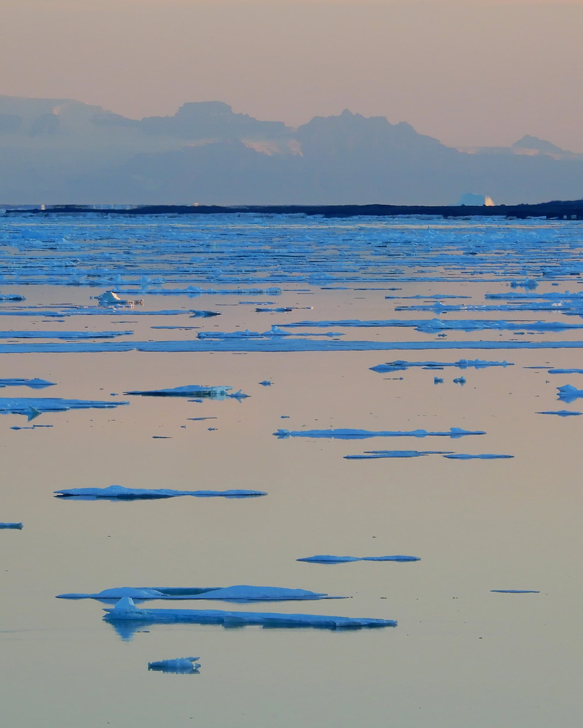 In May or June, the sea ice in Scoresby Sund begins to break apart.