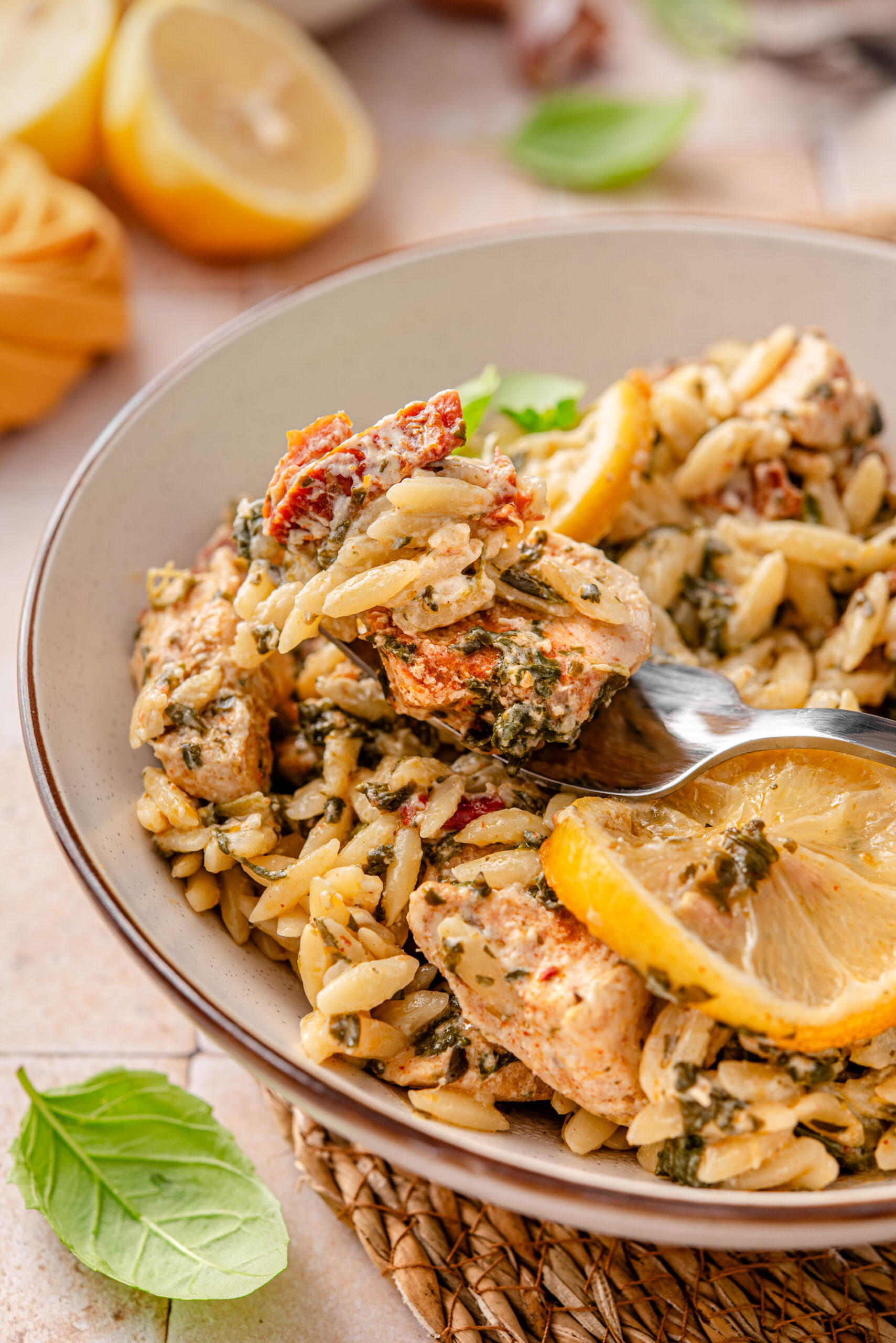 Close up shot of my chicken lemon orzo served.