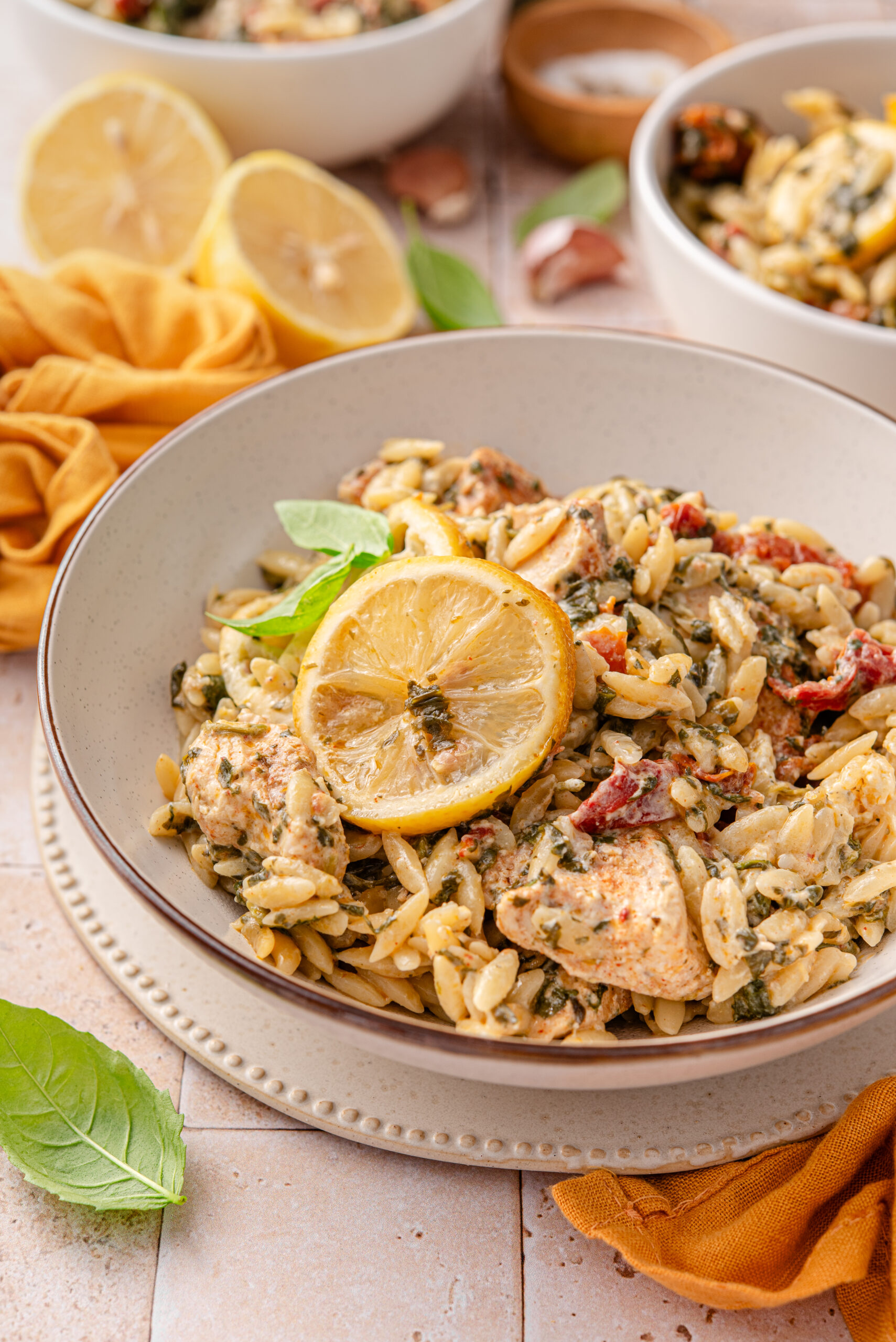 Sideshot closeup of my chicken lemon orzo.