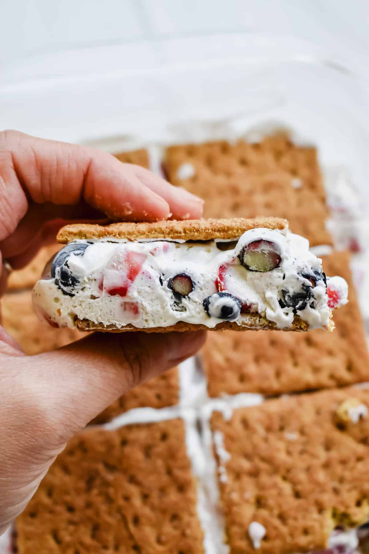 this is a side view close up of my frozen berry graham cracker sandwiches 