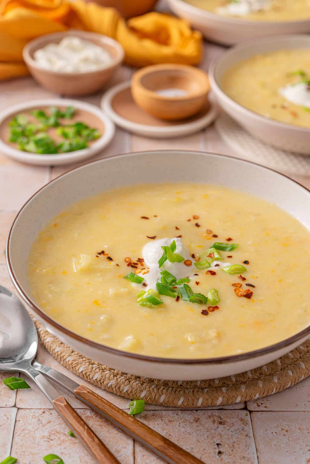 this is a side view close up of my homemade easy slow cooker leek and potato soup