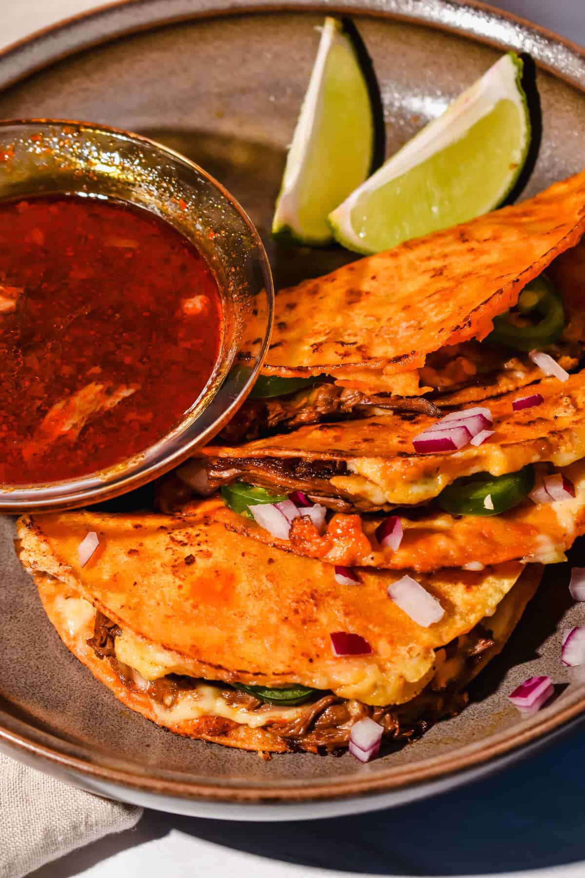 this is a close up of my delicious birria bomb tacos 