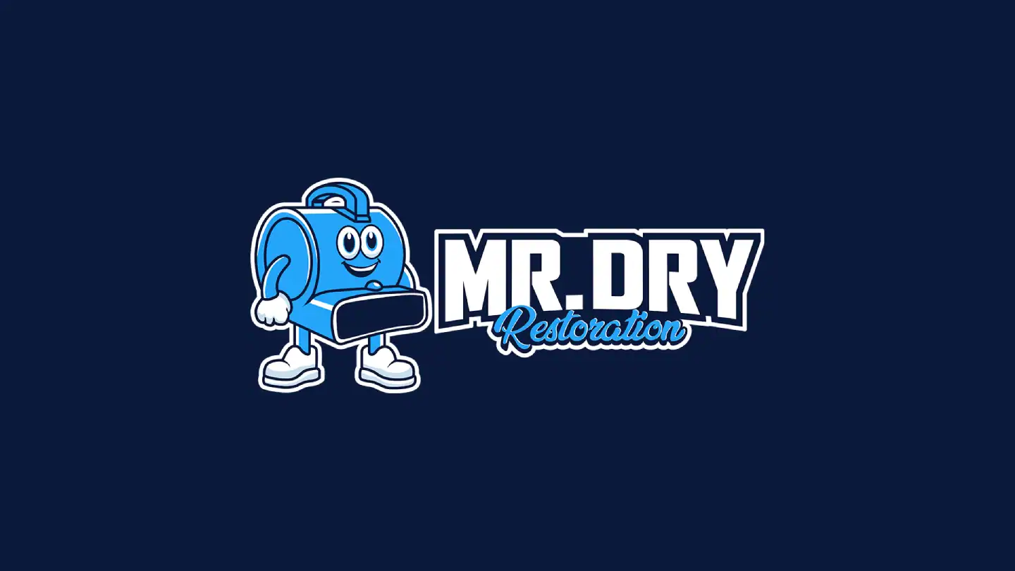 Mr-dry-img01