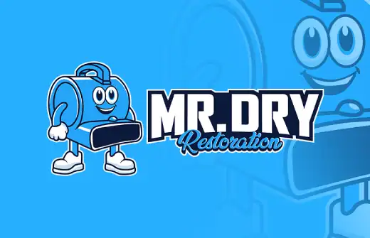 image-mr-dry