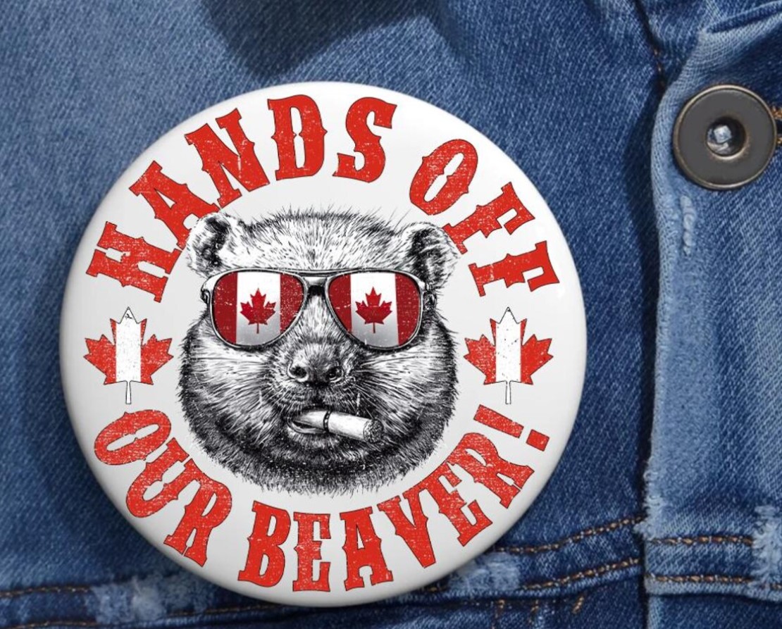 Hands Off Our Beaver Anti Trump Pin Buttons