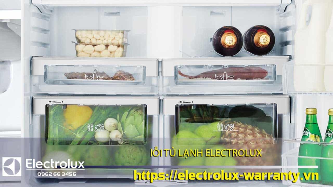 Fresh vegetables and meats stored in an Electrolux refrigerator showcasing efficient cooling and preservation. Perfect for maintaining food freshness with Electrolux refrigerator warranty support.