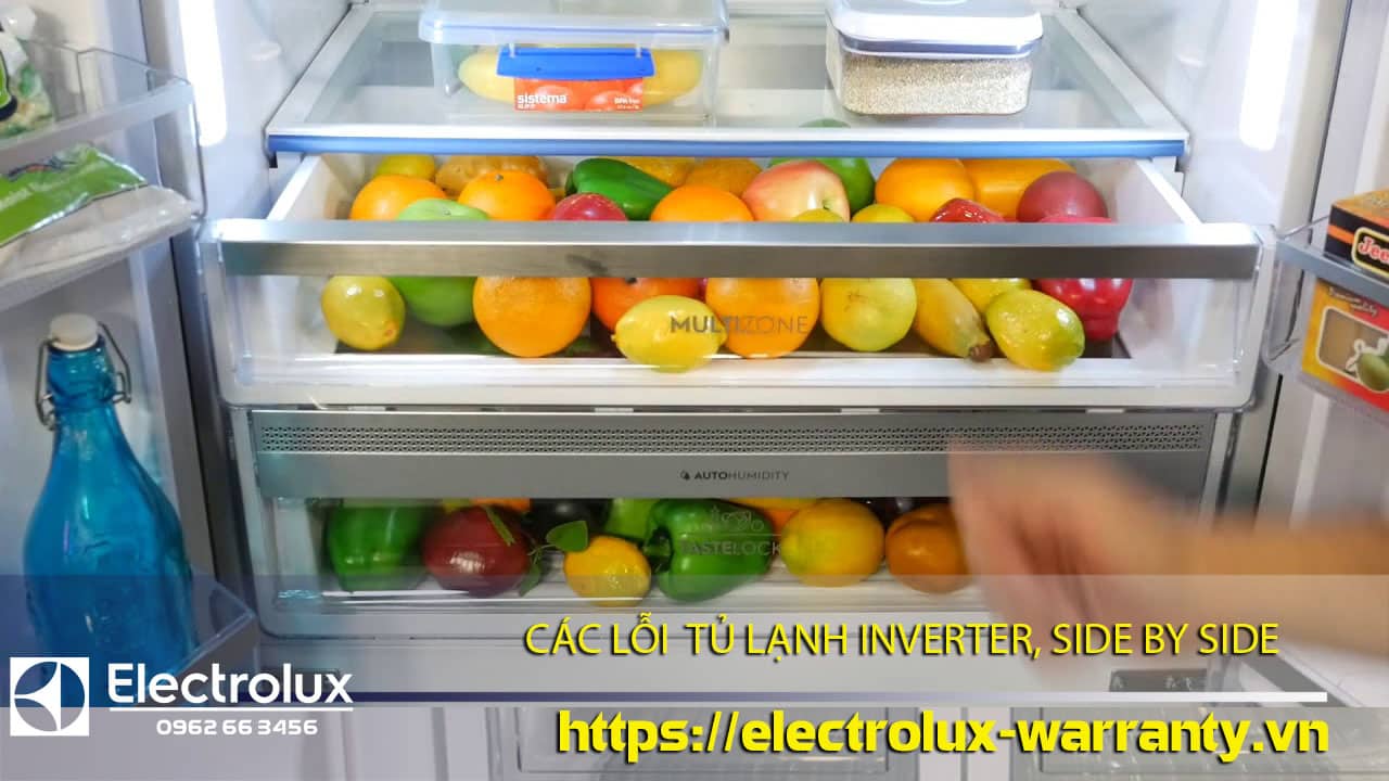 Fresh fruits inside an Electrolux refrigerator showcasing reliable cooling features for optimal food preservation.