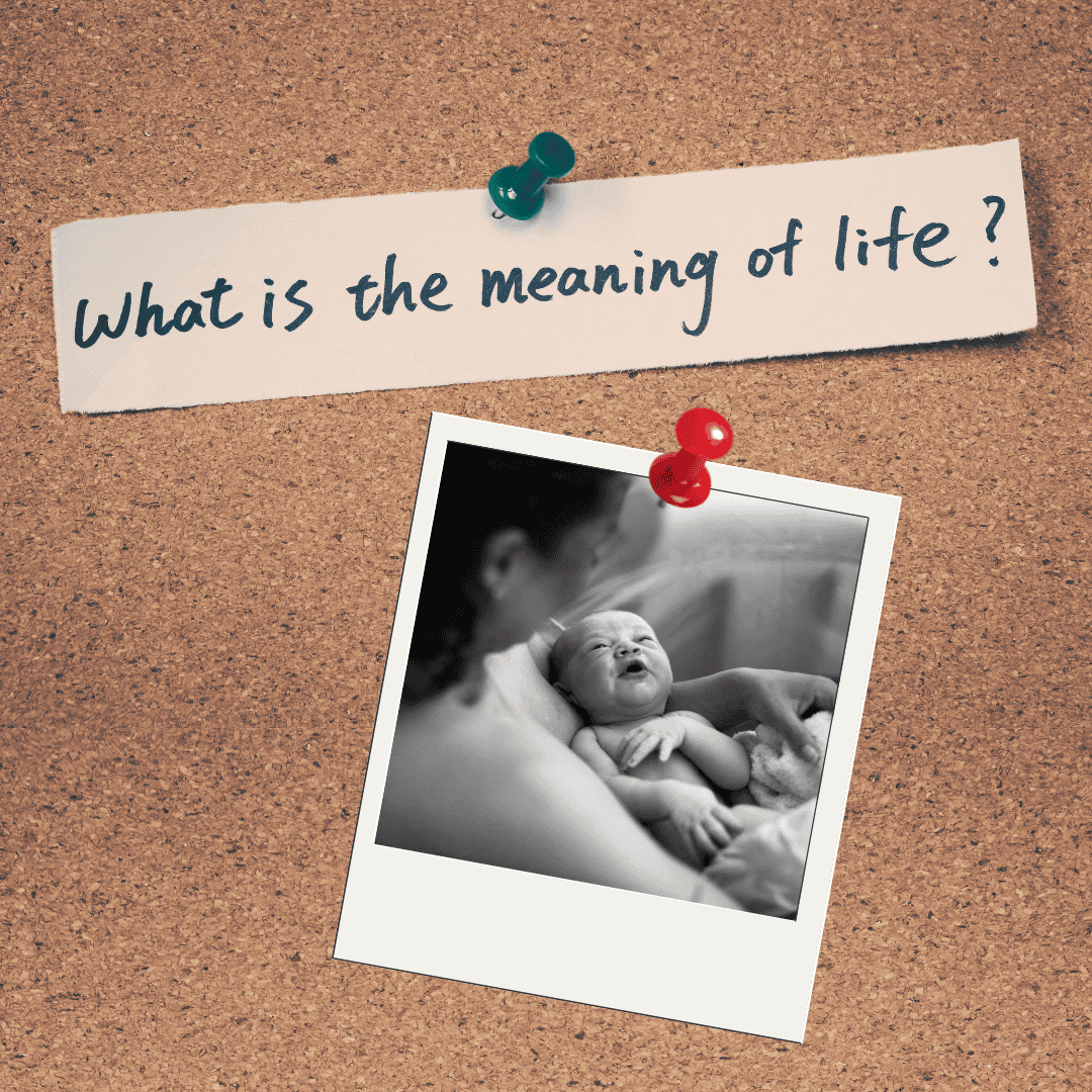 bulletin board asking what is a meaningful birth