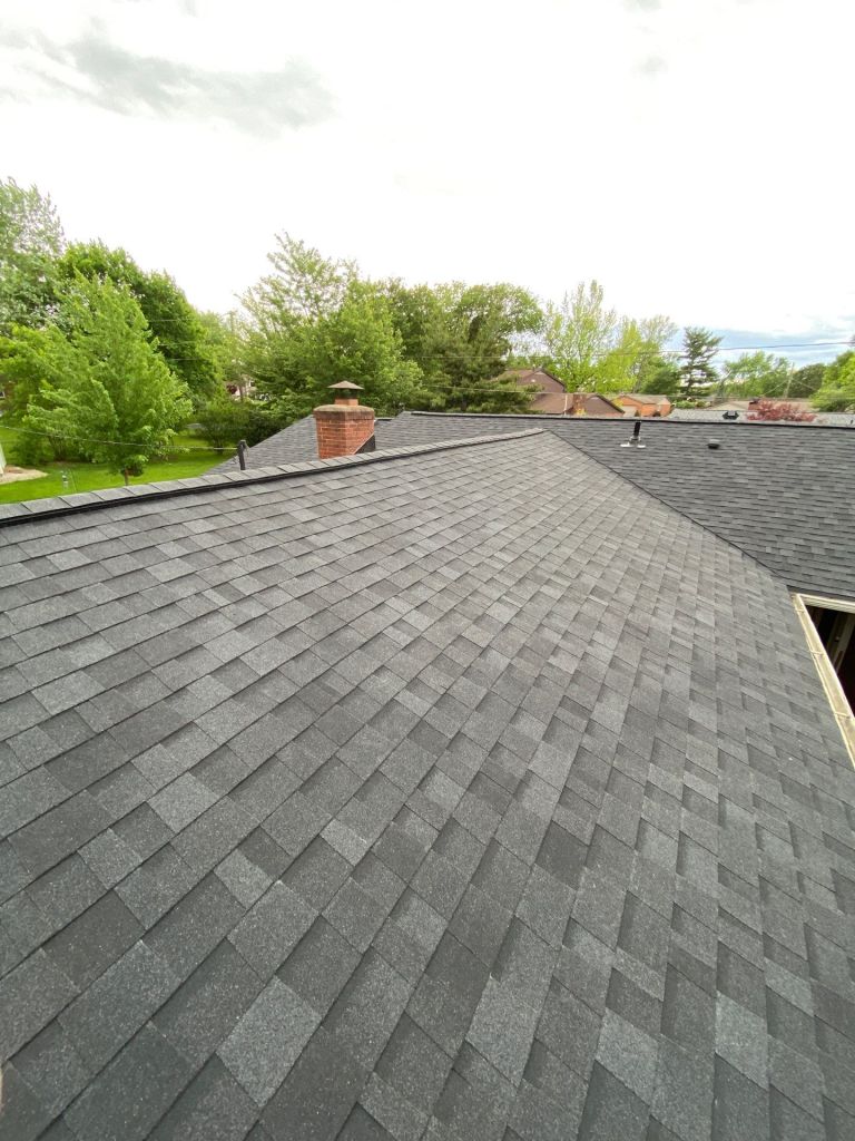 Dark gray asphalt shingle roof with lush green trees and neighboring houses in the background, showcasing high-quality residential roofing services.