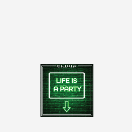 I Closed Life Is A Party Palettes