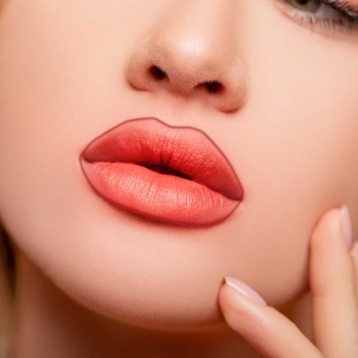 lip combo blush harmony 502