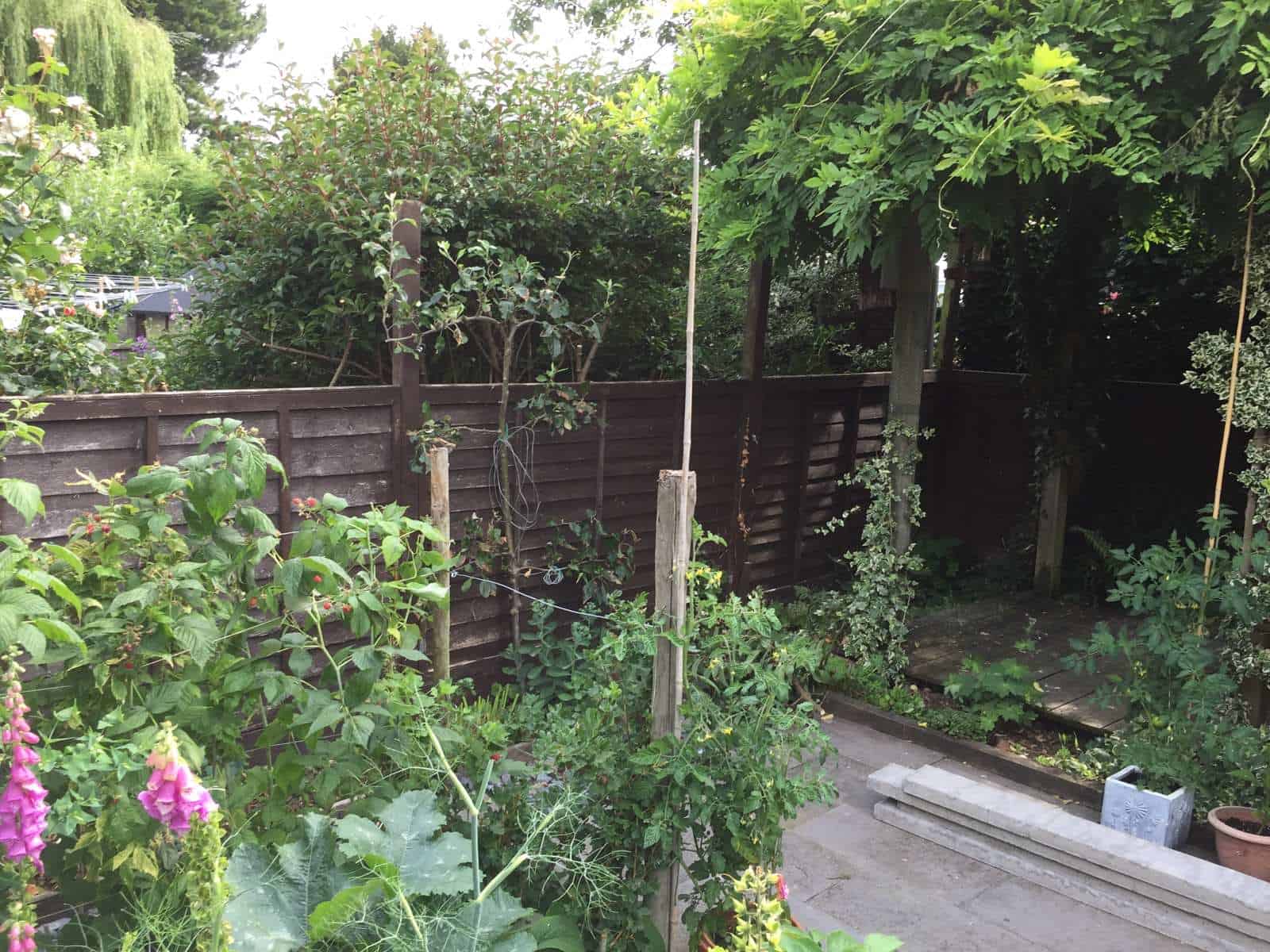 Garden fencing with support posts and lush greenery in the background.