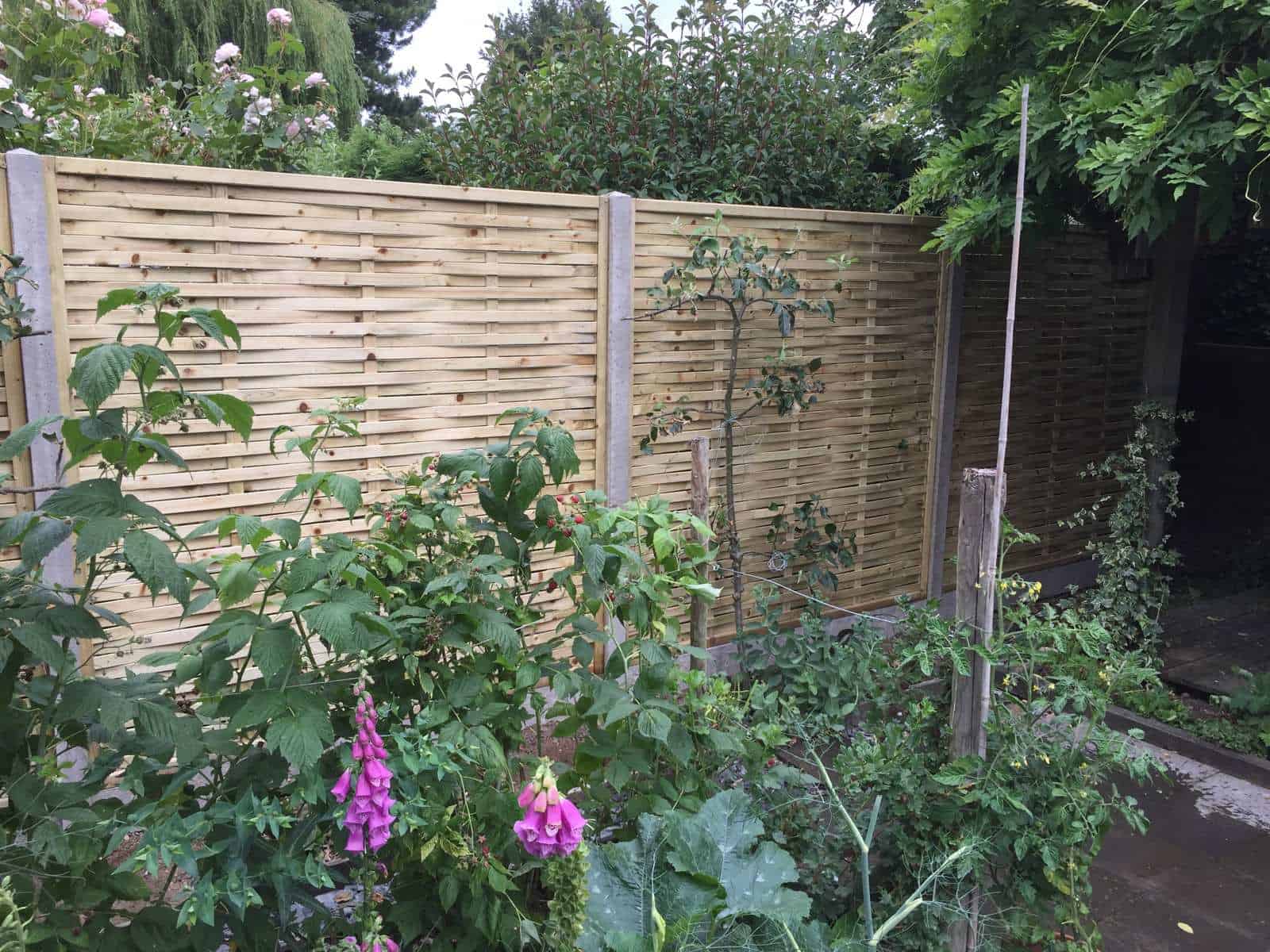 Modern wooden garden fence with lush greenery and flowering plants.