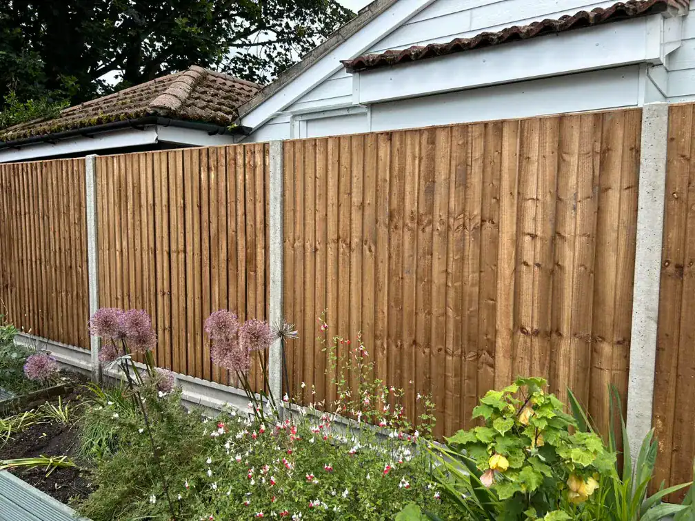 Close-up of a newly installed wooden garden fence with plants in the foreground.