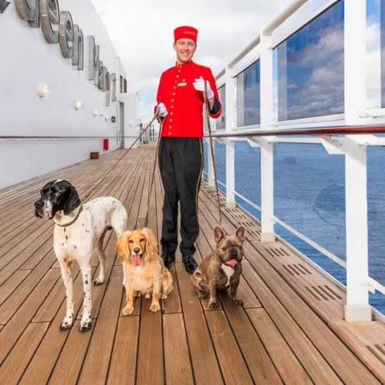 Cunard dogs