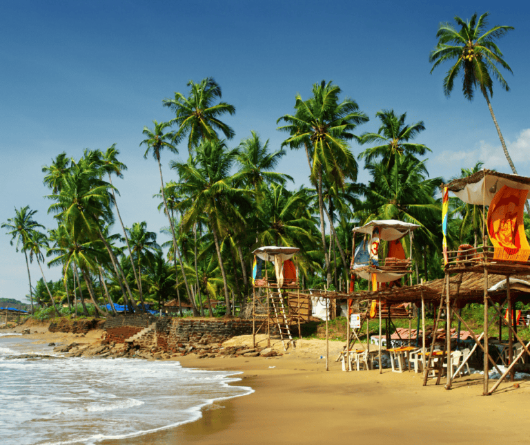 Things To Do In Goa - Emma Jane Explores