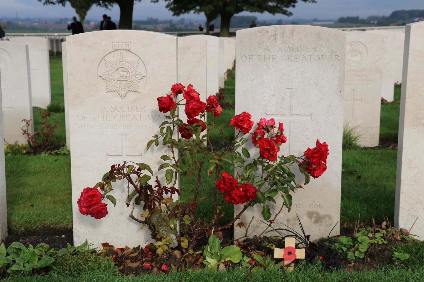 Graves at the Tyne Cot Cemetary in Flanders Fields