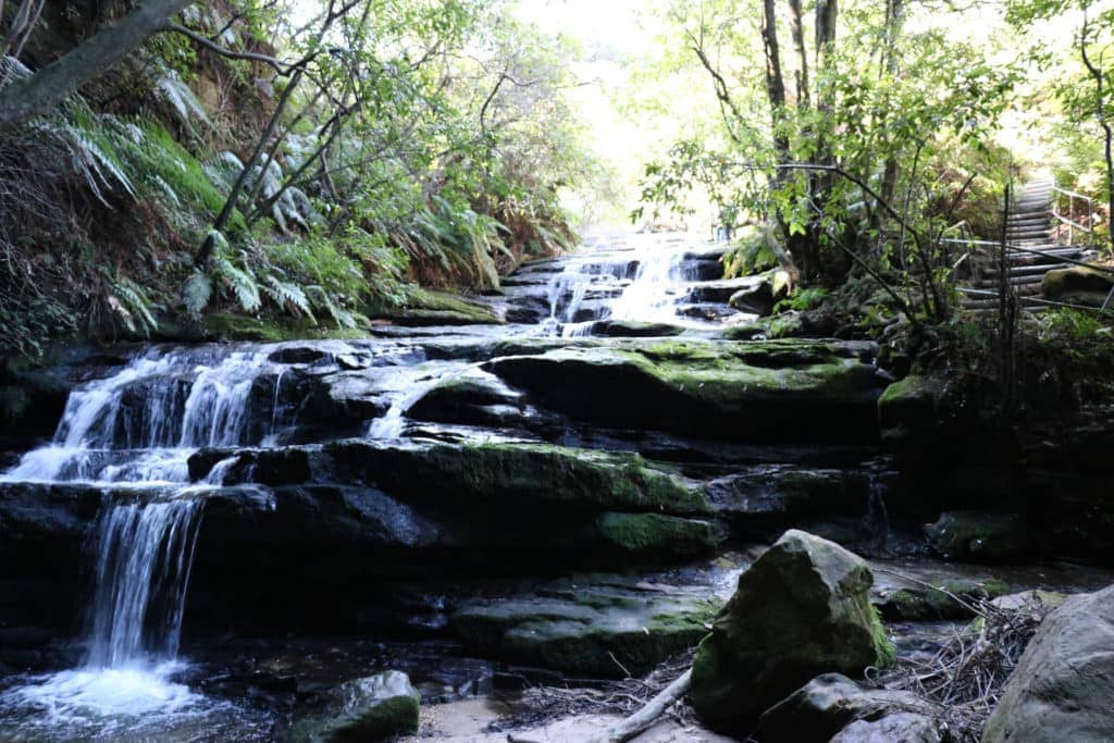 The small waterfalls that make up the Leura Cascades are surrounded by mossy ferns.
