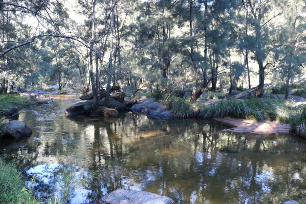 A stony Cox's river with both banks surrounded by trees