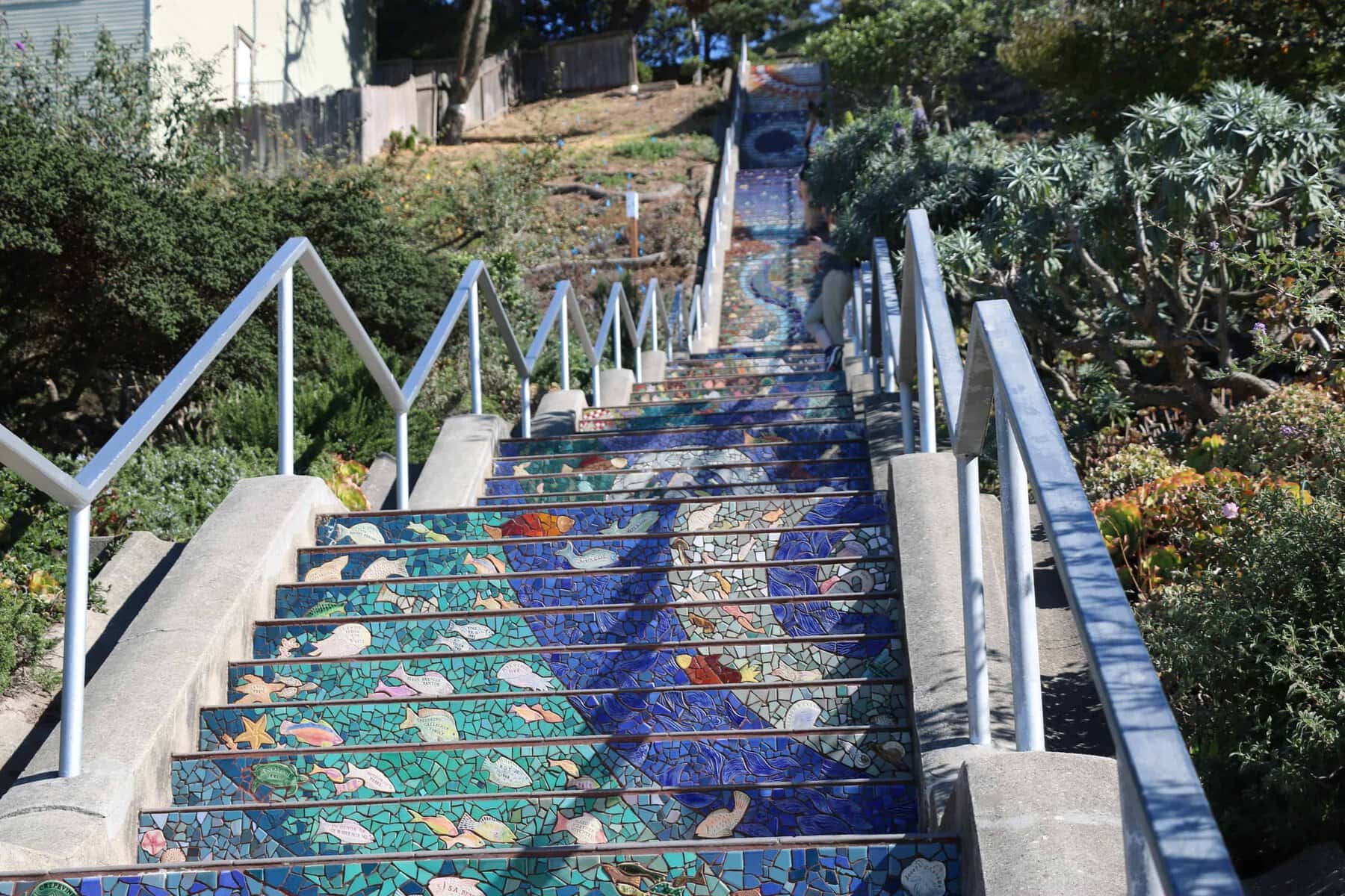 Four Days In San Francisco - Moraga Steps
